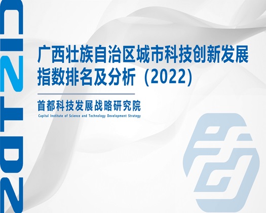 操打屁股20p【成果发布】广西壮族自治区城市科技创新发展指数排名及分析（2022）